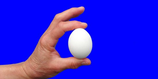 Todo sobre los huevos: desde c&oacute;mo conservarlos hasta cu&aacute;ntos comes al a&ntilde;o