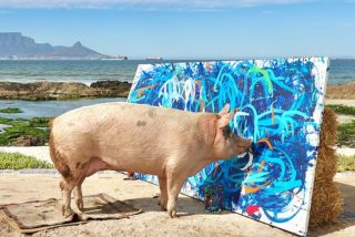 'Pigcasso', la cerda pintora, vende un cuadro por 27.000 d&oacute;lares