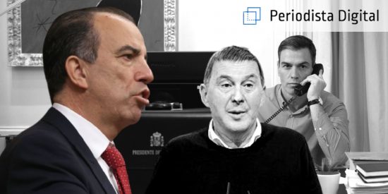 Carlos Garc&iacute;a Adanero: &ldquo;El proyecto de S&aacute;nchez es blanquear a Bildu y sacar a presos de la c&aacute;rcel&rdquo;