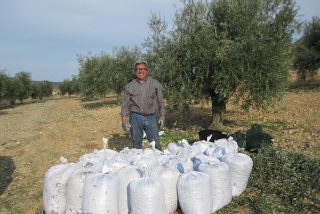 El mundo rural se echa a la calle el pr&oacute;ximo 23 de enero