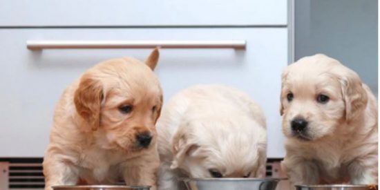 Pron&oacute;stico del Tiempo en Espa&ntilde;a: domingo 2 de noviembre de 2025