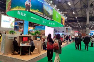 El turismo podría generar 58 millones de puestos de trabajo en el mundo este 2022