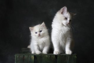 Pron&oacute;stico del Tiempo para este lunes 20 de abril de 2026