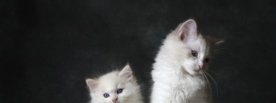 Pron&oacute;stico del Tiempo para este lunes 20 de abril de 2026