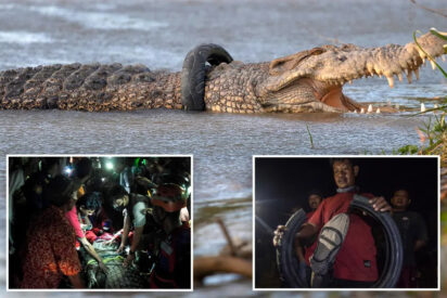 Tili y el cocodrilo del neumático