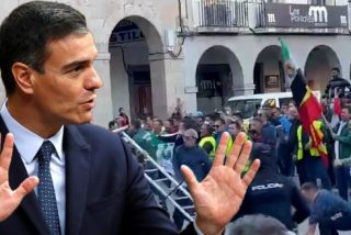 Pedro S&aacute;nchez