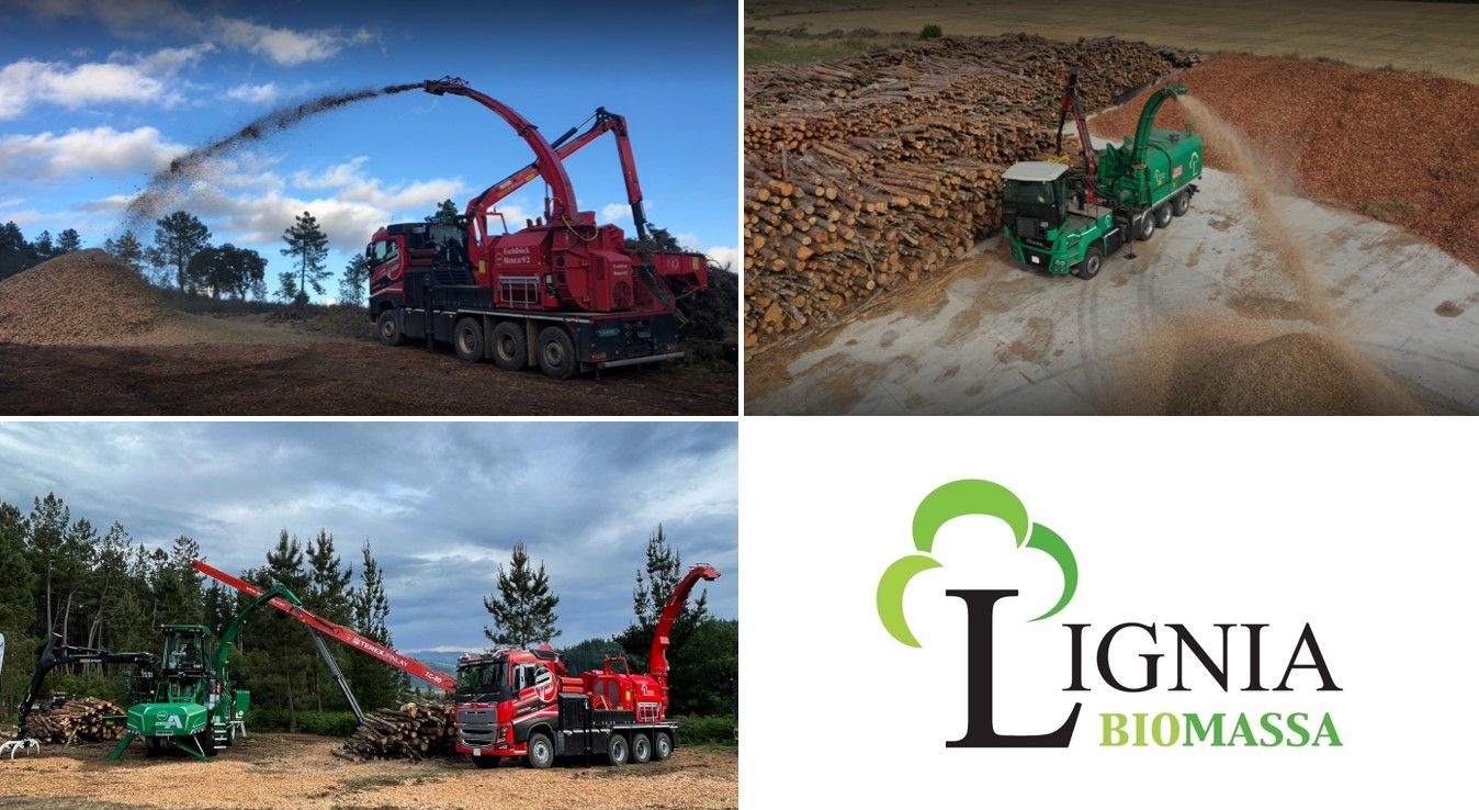 LIGNIA BIOMASSA inaugura nueva sede mientras reafirma su colaboración con la consultoría de empresas CEDEC