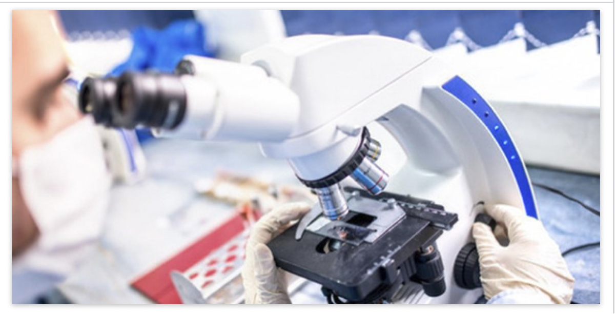 Alerta en Europa por los casos de hepatitis aguda causados por un nuevo virus zoon&oacute;tico