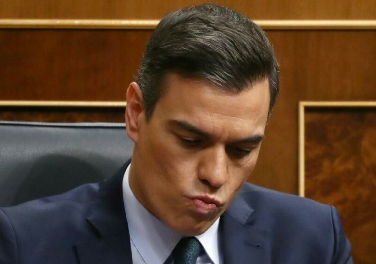 Pedro S&aacute;nchez