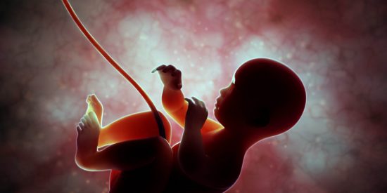 Pablo D. Escolar: "Condenado a muerte por su propia madre"