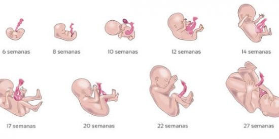 Jos&eacute; Manuel Garc&iacute;a Albarr&aacute;n: "Eutanasia y Aborto: Las leyes &lsquo;progresistas&rsquo; contra la vida"