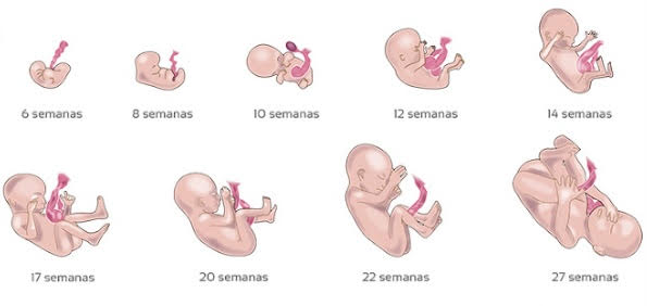 José Manuel García Albarrán: "Eutanasia y Aborto: Las leyes ‘progresistas’ contra la vida"