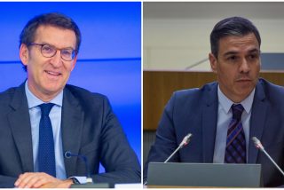 Encuesta / El 'efecto Feij&oacute;o' sube 4 puntos en menos de dos meses y S&aacute;nchez se diluye