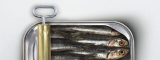 Lata de sardinas