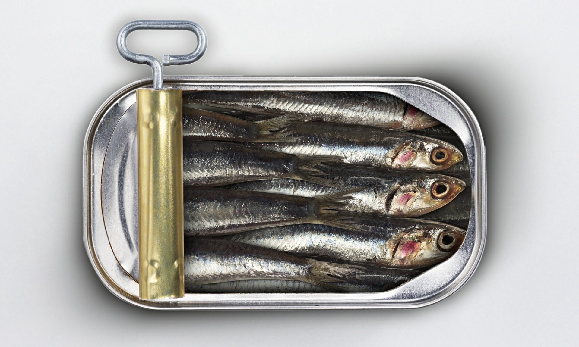 Lata de sardinas