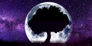 Luna Astronomía, Zodiaco, horoscopo, Hombre Planeta La Ciencia
