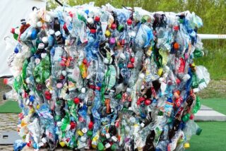 Reciclar, botella, pl&aacute;stico, basura, contaminaci&oacute;n
