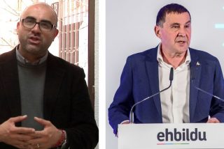 Ricardo Ruiz de la Serna: "Con la Ley de Memoria Democr&aacute;tica ETA utiliza el poder para condicionar la historia"