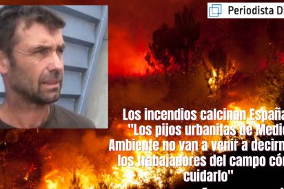 Los incendios calcinan Espa&ntilde;a: "Los pijos urbanitas de Medio Ambiente no van a venir a decirnos a los trabajadores del campo c&oacute;mo cuidarlo"