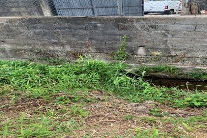 Arco Iris presenta una denuncia ante el concello de Cangas