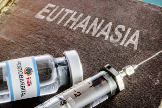 Carmelo &Aacute;lvarez Fern&aacute;ndez de Gamarra: "Distop&iacute;a: Espa&ntilde;a 2075 / Manual de Eutanasia"