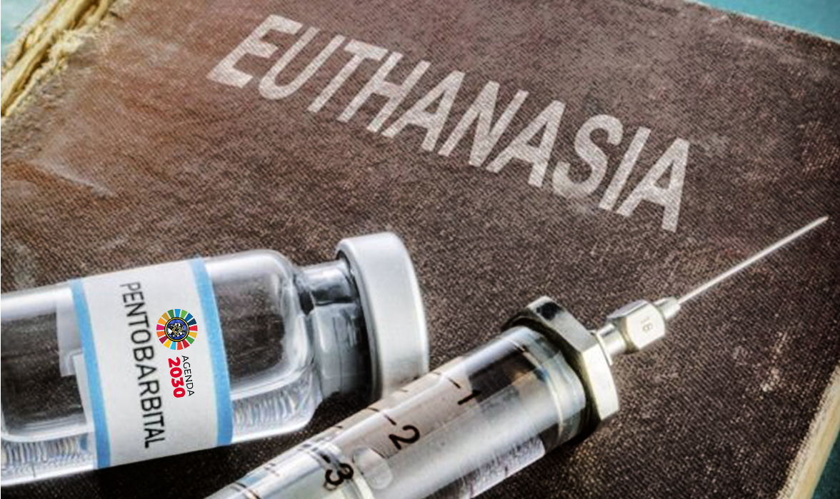 Carmelo &Aacute;lvarez Fern&aacute;ndez de Gamarra: "Distop&iacute;a: Espa&ntilde;a 2075 / Manual de Eutanasia"