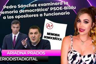 Pedro S&aacute;nchez examinar&aacute; la 'memoria democr&aacute;tica' PSOE-Bildu a los opositores a funcionario
