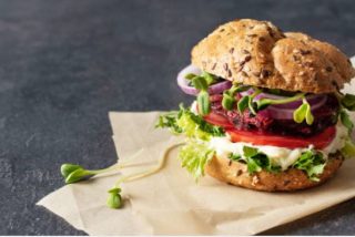 Crean suced&aacute;neo vegano de carne usando harina de girasol como base: revoluci&oacute;n sostenible en la alimentaci&oacute;n