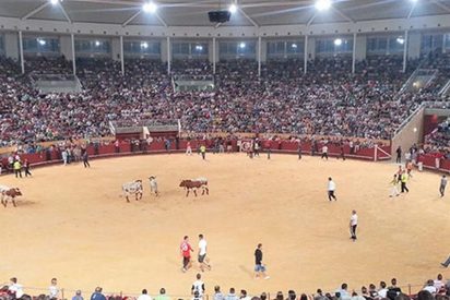 Las tr&aacute;gicas fiestas de Navalcarnero: Cornada mortal y cr&iacute;ticas al alcalde