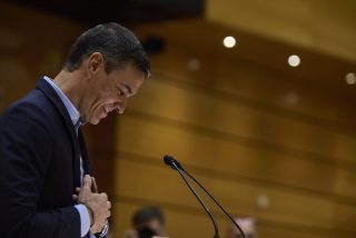 Pedro S&aacute;nchez 