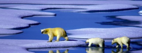 Dos caras: &iquest;Es lo mismo el calentamiento global que el cambio clim&aacute;tico?