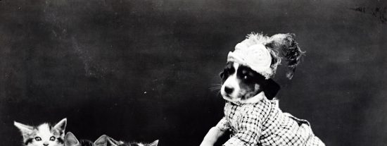 Pron&oacute;stico del Tiempo: Espa&ntilde;a entre nubes, claros y alg&uacute;n chaparr&oacute;n este 1 de noviembre de 2025