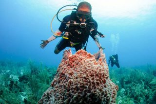 Qu&eacute; ver y hacer en Centroam&eacute;rica y Rep&uacute;blica Dominicana