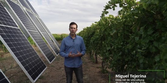 Planta agrovoltaica inteligente