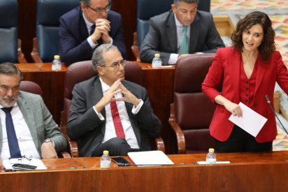 Isabel D&iacute;az Ayuso, en una imagen en la Asamblea de Madrid.
