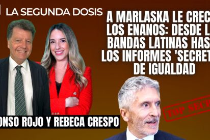 Alfonso Rojo y Fernando Grande-Marlaska