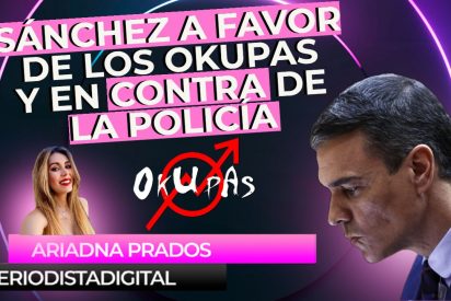 Ley de Seguridad Ciudadana, polic&iacute;a, Pedro S&aacute;nchez