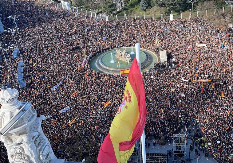 Imagen de la manifestaci&oacute;n de Madrid. 