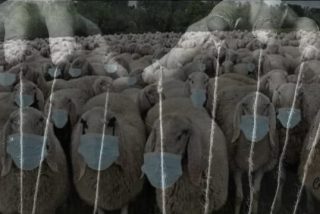 La sociedad en manos de lo peor de la especie humana