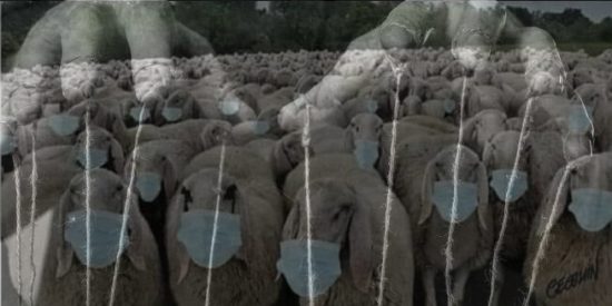 La sociedad en manos de lo peor de la especie humana