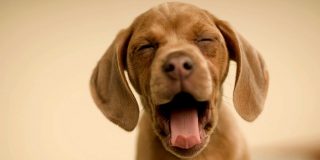 Pron&oacute;stico del Tiempo para este lunes 9 de marzo de 2026