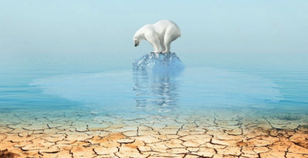 Laureano Benitez Grande-Caballero: "Las profec&iacute;as del ecoterrorismo (o nueva antolog&iacute;a del disparate)"