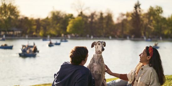 MSD Animal Health celebra el D&iacute;a de la lucha frente a la Leishmaniosis a trav&eacute;s de la concienciaci&oacute;n