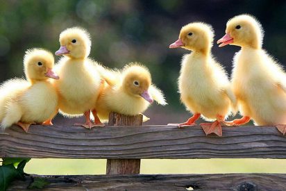 Pronóstico del Tiempo en España este domingo 12 de octubre de 2025