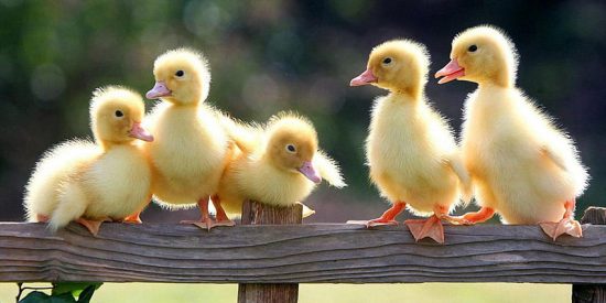 Pronóstico del Tiempo en España este domingo 12 de octubre de 2025