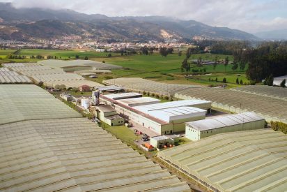 Innovaflora presenta informe sobre el progreso hacia los ODS