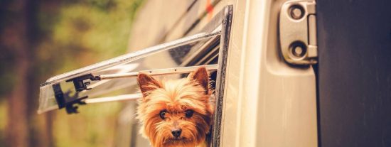 Pron&oacute;stico del Tiempo: calor extremo y tormentas este domingo 22 de junio de 2025