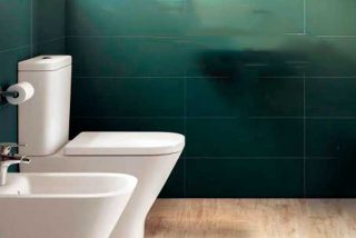 ¿Cuántas veces al día es normal ir al baño?