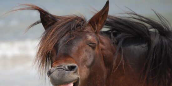 Pron&oacute;stico del Tiempo para este domingo 15 de febrero de 2026