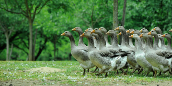 Pron&oacute;stico del Tiempo este martes 24 de febrero de 2026